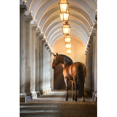 2024 Welcome Reception Sponsor